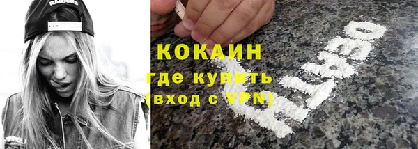 соль ск Абаза